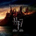 Test-screening de Harry Potter e as Relíquias da Morte: Parte 2 é hoje; saiba como estará o filme!